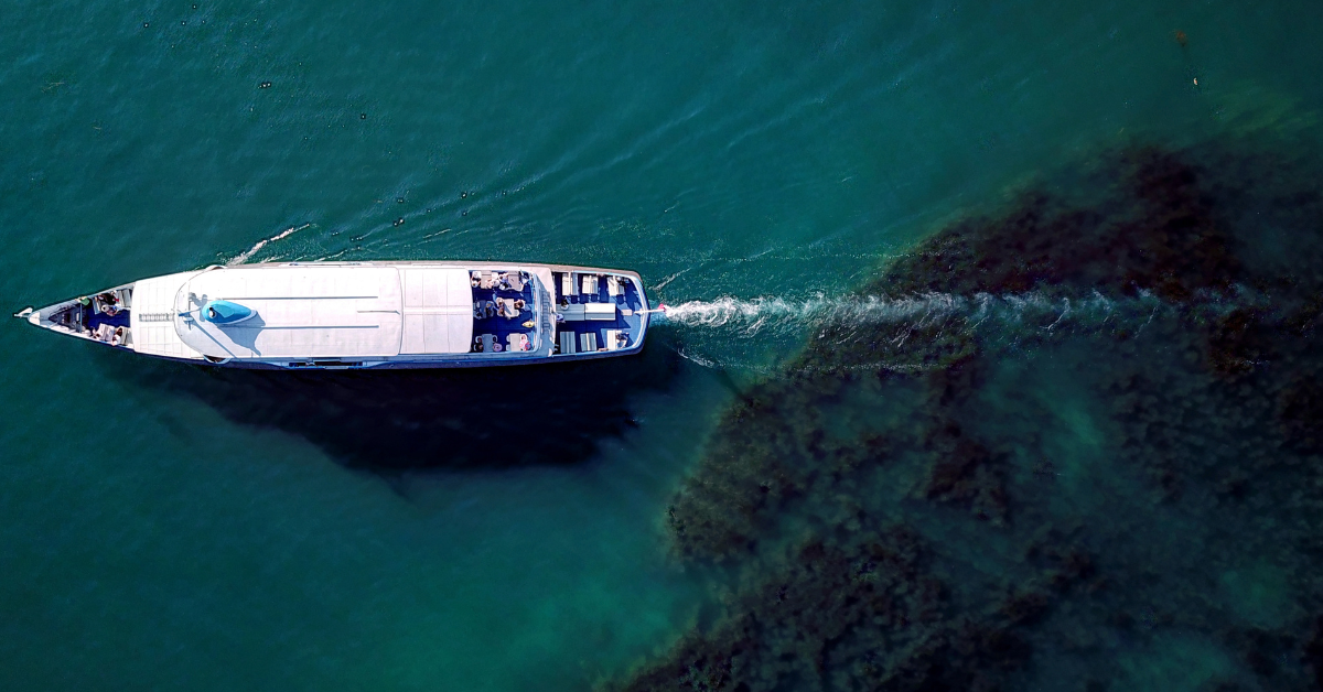 Aerial Photo of a Boat