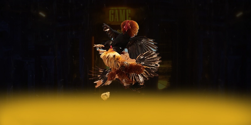 789P - Sảnh game uy tín được đánh giá cao – Khám phá cam kết an toàn của 789P