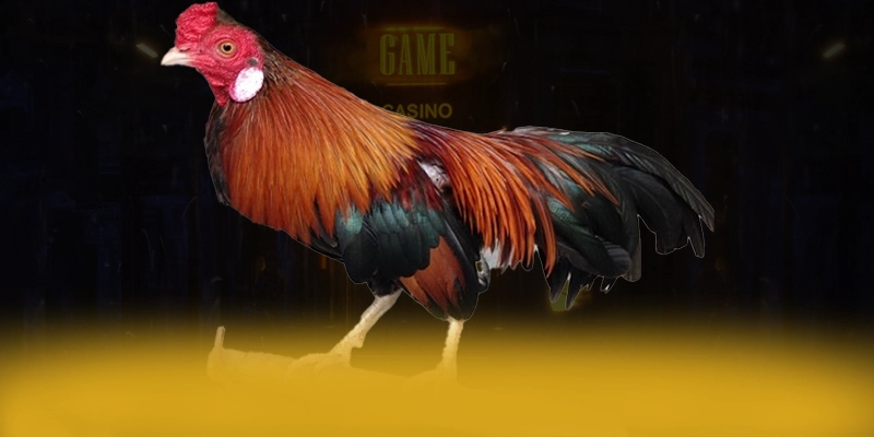 GA6789 – Cổng game bài đáng chơi nhất, đang làm mưa làm gió trên thị trường.