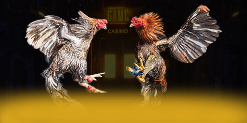 N88 - Trang game đáng trải nghiệm được cộng đồng đánh giá cao N88 - Trang game đáng trải nghiệm được cộng đồng đánh giá cao