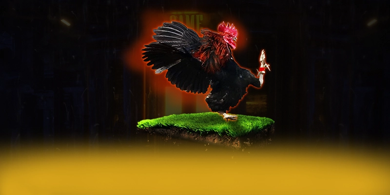 KUWIN - Cổng giải trí với nhiều tựa game đổi thưởng hấp dẫn được giới cược thủ tin tưởng – Tổng hợp game hot tại KUWIN