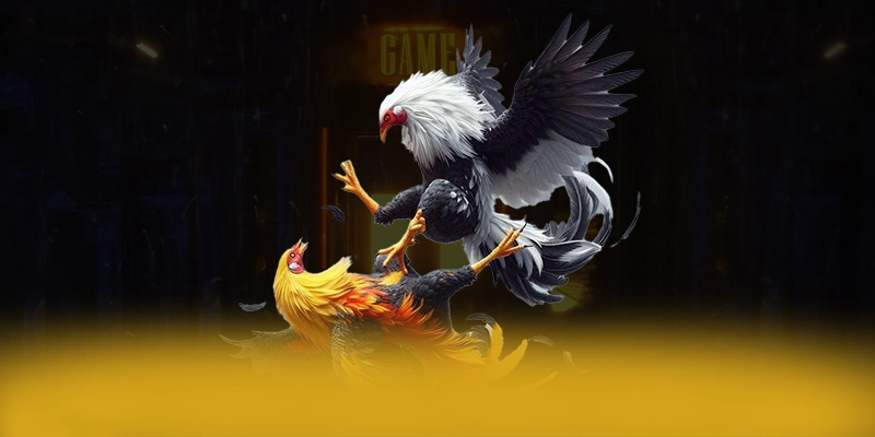 
Cập nhật thông tin về CONGA6789 - Cổng game bài được yêu thích nhất trên thị trường
